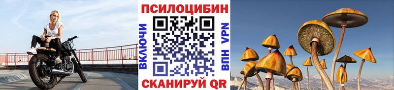 Галлюциногенные грибы MAGIC MUSHROOMS  mega маркетплейс  Спасск-Рязанский  цены наркотик 